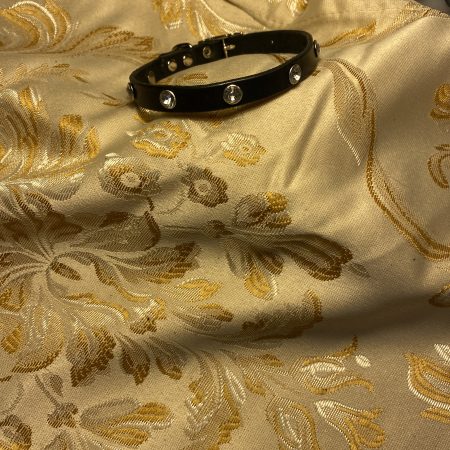 Dog collar italian black leather and white crystals for small dog