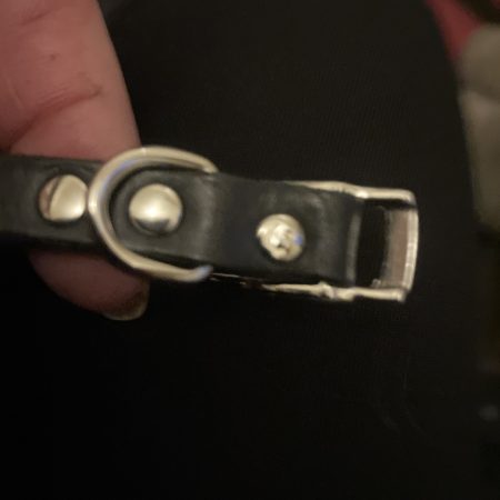 Dog collar italian black leather and white crystals for small dog