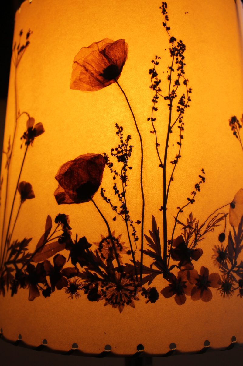 “Live edge” wood block table lamp