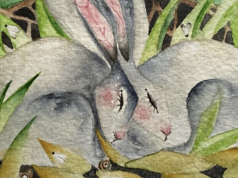 Mounted Original resting Hares / Rabbits under the Moon Watercolour