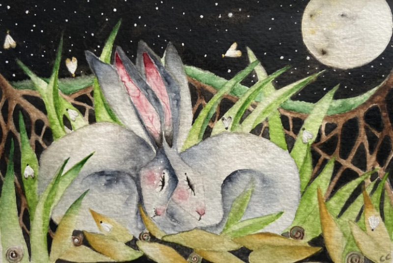 Mounted Original resting Hares / Rabbits under the Moon Watercolour