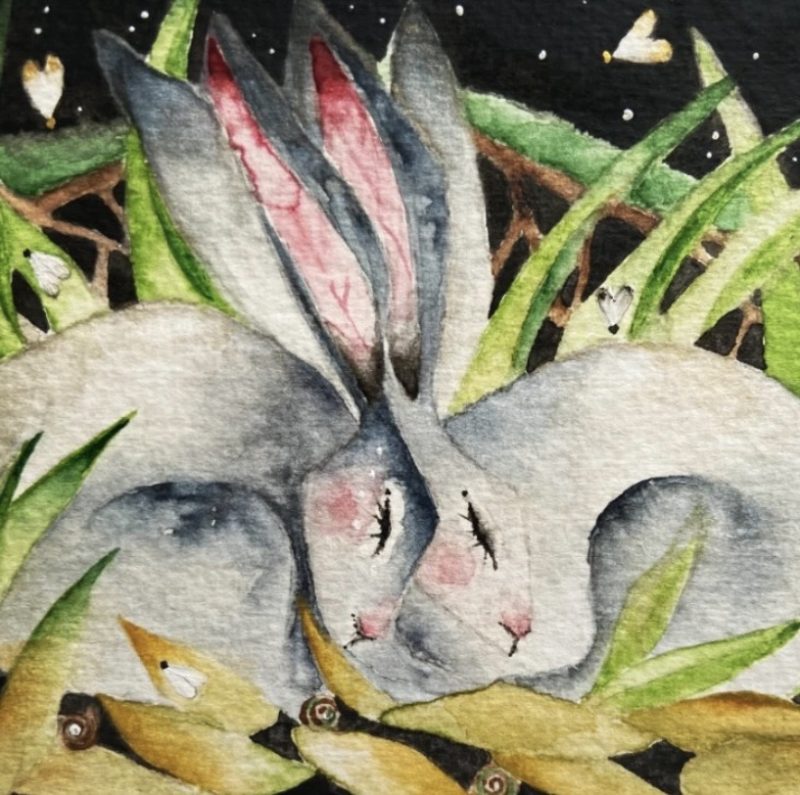 Mounted Original resting Hares / Rabbits under the Moon Watercolour
