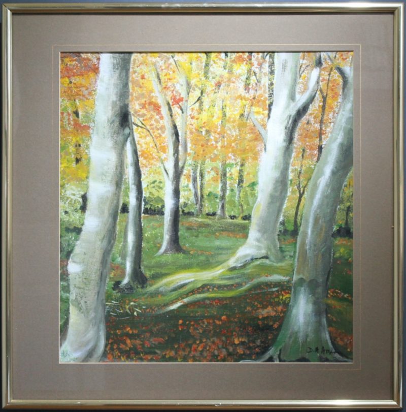 Acrylic painting of woodland dell. Original art work framed