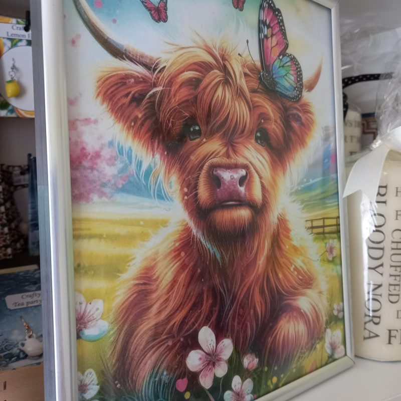 Highland Cow Framed Picture