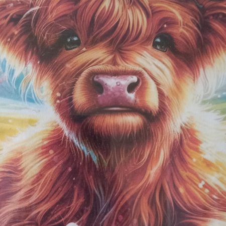 Highland Cow Framed Picture