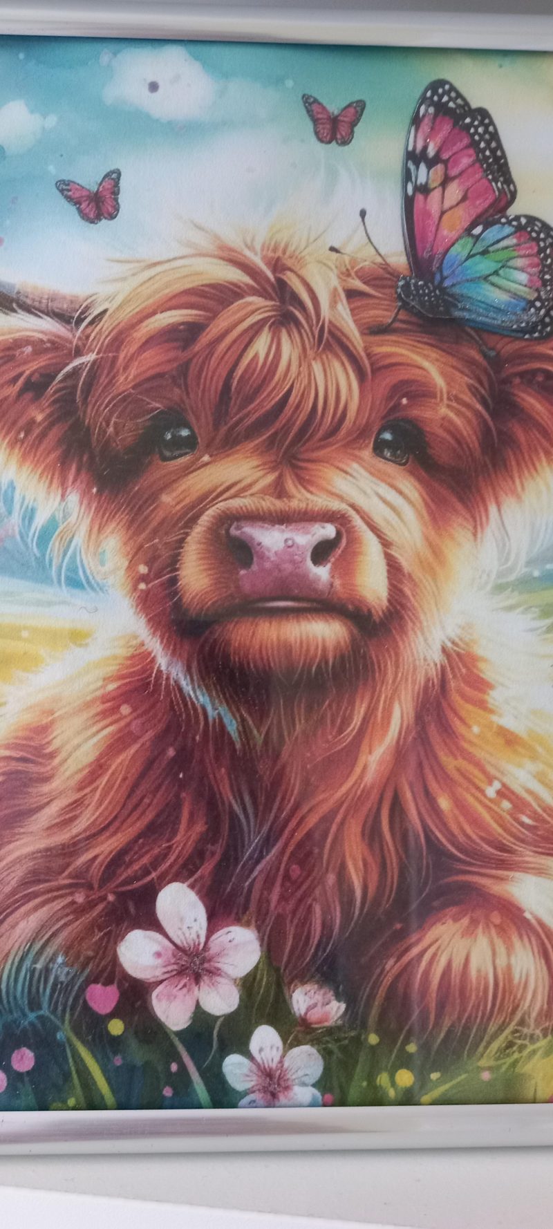 Highland Cow Framed Picture