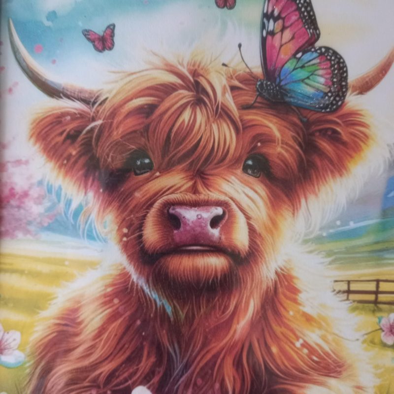 Highland Cow Framed Picture