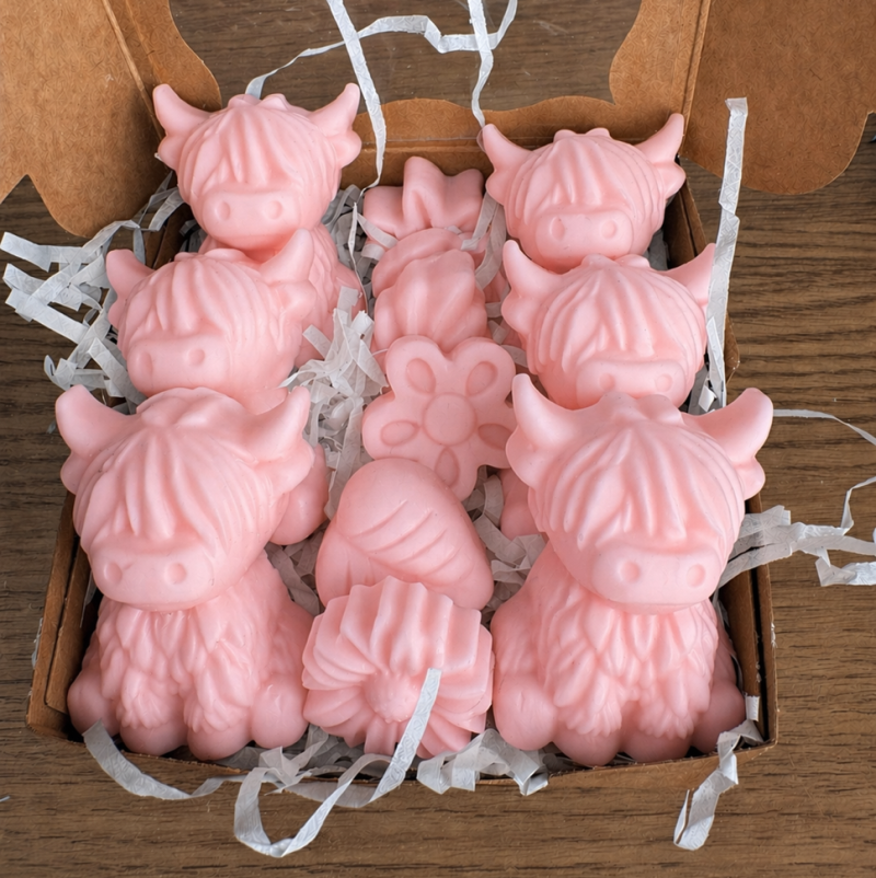 Highland cow gift box - strawberry & Lily