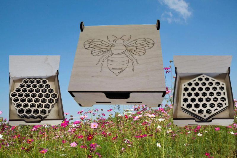 Bee Lover Honeycomb Coaster Set, Coffee Tea Placement Coaster, Table Mats, Honey Bee Storage Box