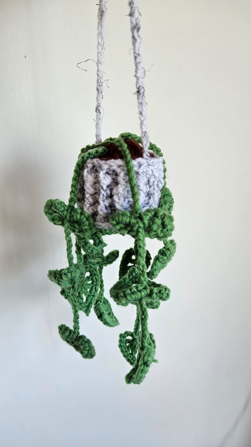 Crochet hanging monstera plant
