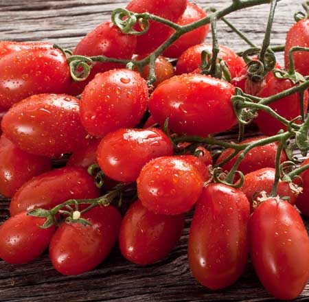 Tomato Plants – San Marzano x 4