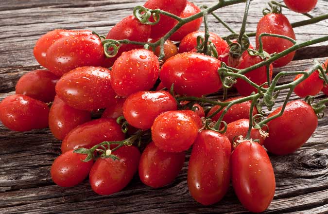 Tomato Plants – San Marzano x 4
