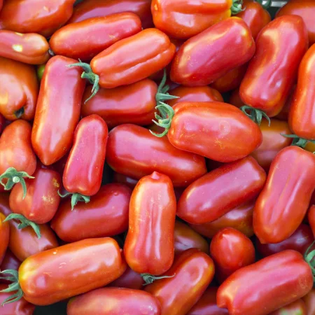 Tomato Plants – San Marzano x 4