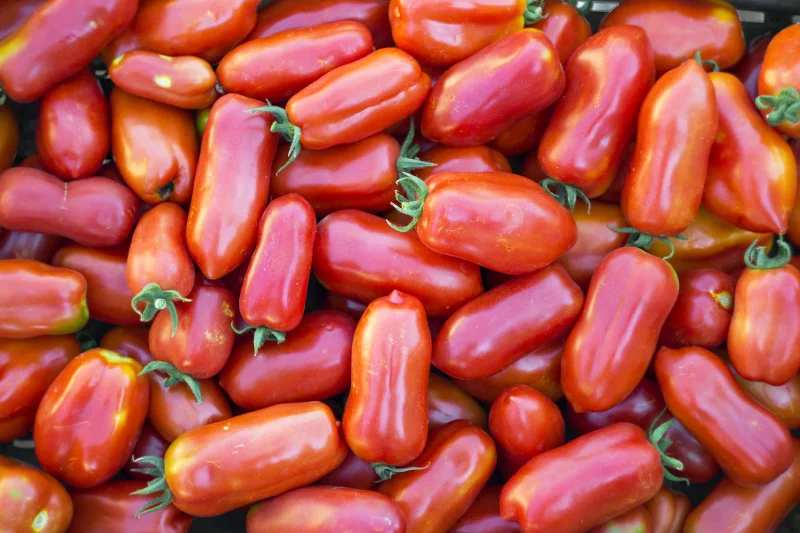 Tomato Plants – San Marzano x 4
