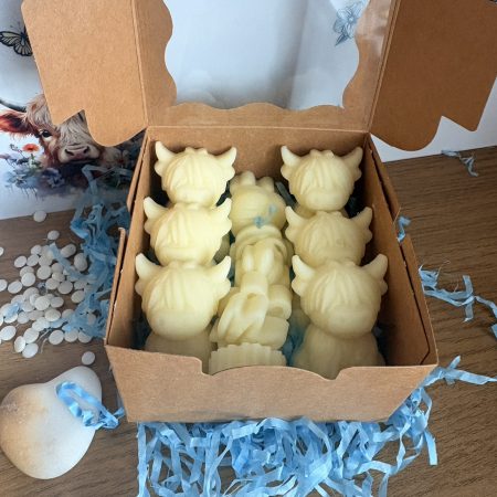 Newborn nursery highland cow gift box