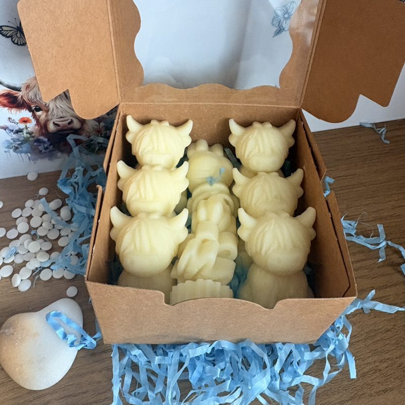 Newborn nursery highland cow gift box