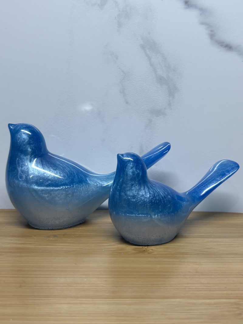 pretty bird set - blue