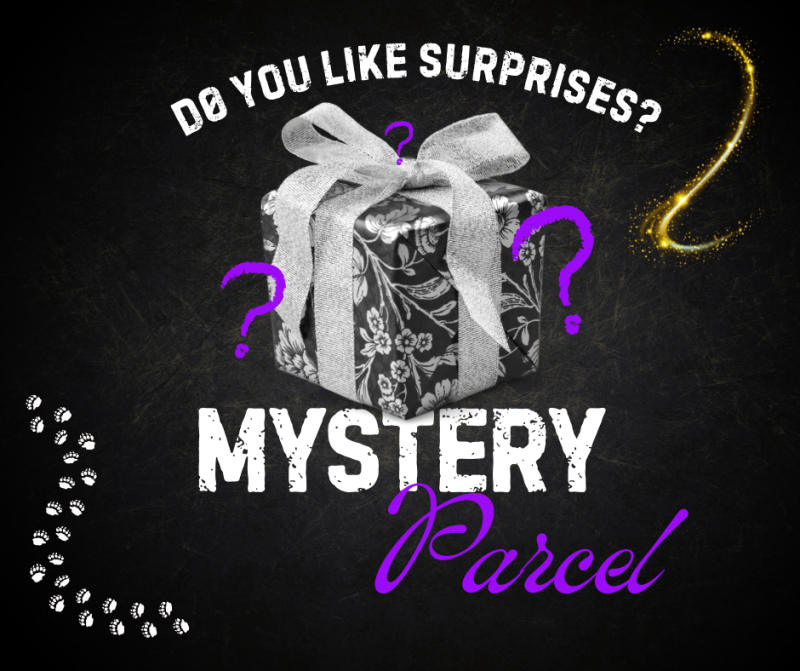 Mystery Parcel Gift Box — Because the best gifts are the ones you don't see coming.
