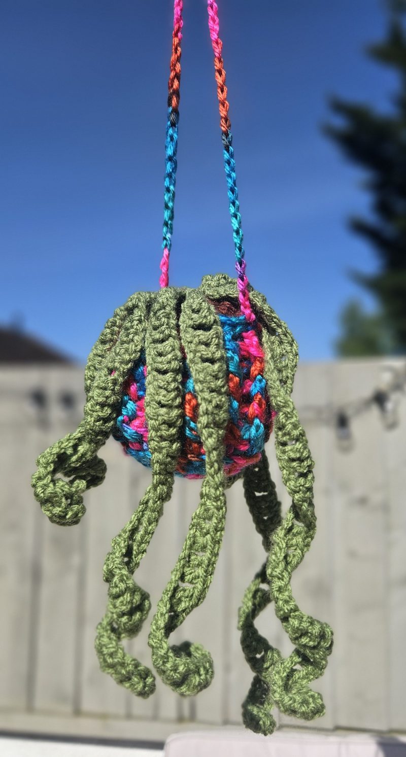 Hanging crochet plant