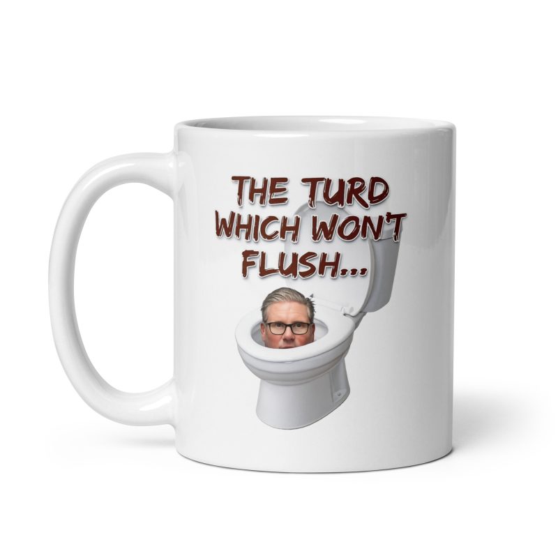 Anti Starmer Political Mug Ceramic 11oz White Made To Order Funny UK Gift