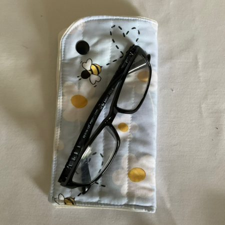 Padded Glasses Case