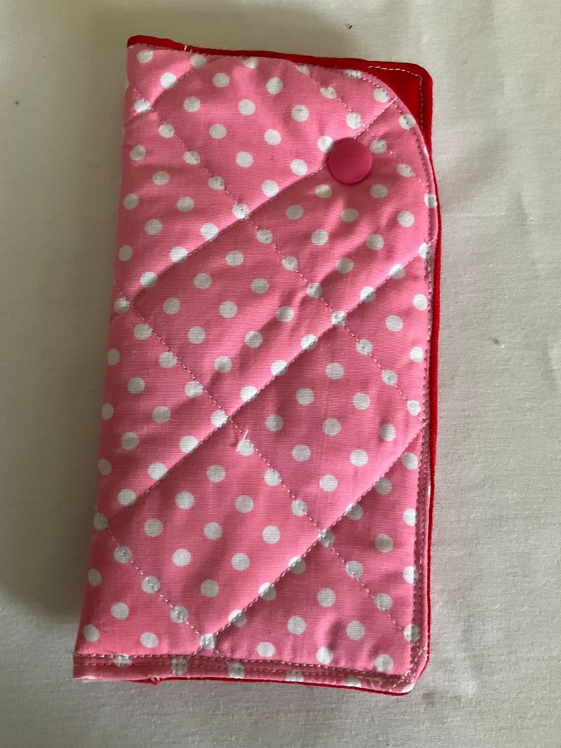 Padded Glasses Case