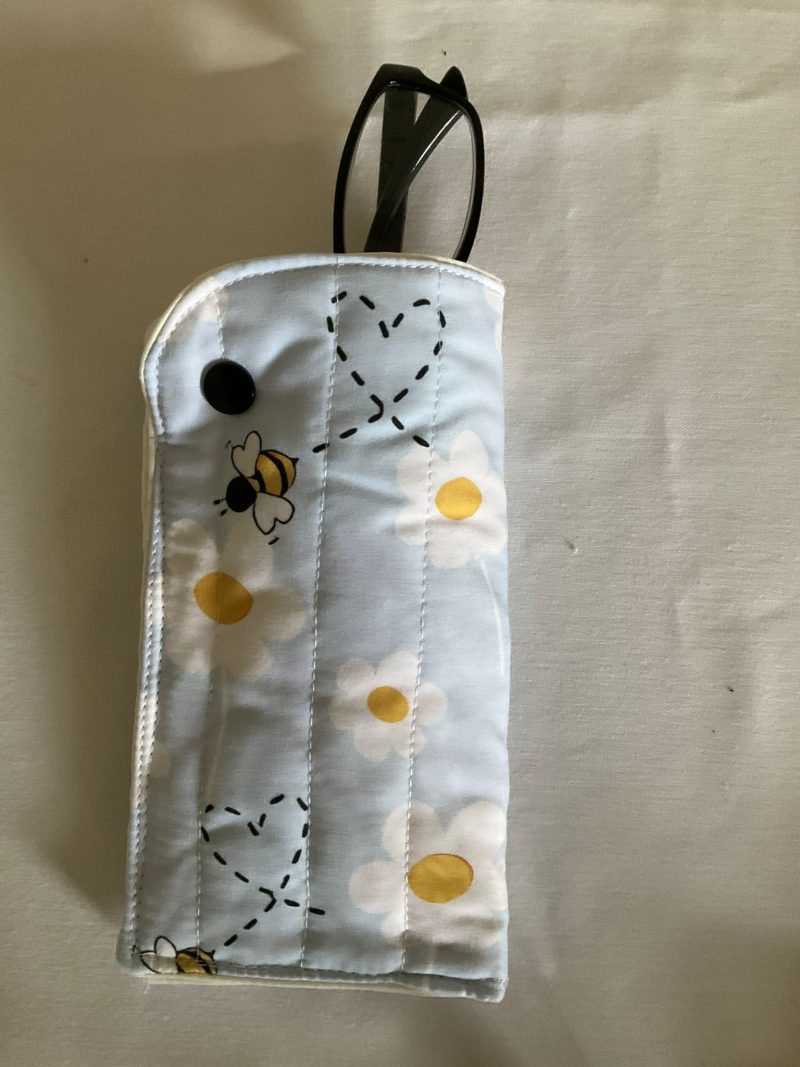 Padded Glasses Case