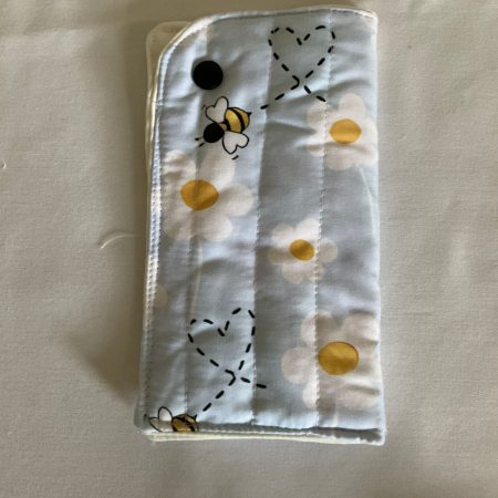 Padded Glasses Case