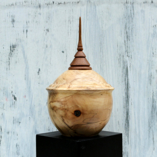 Small Hollow Form Vessel