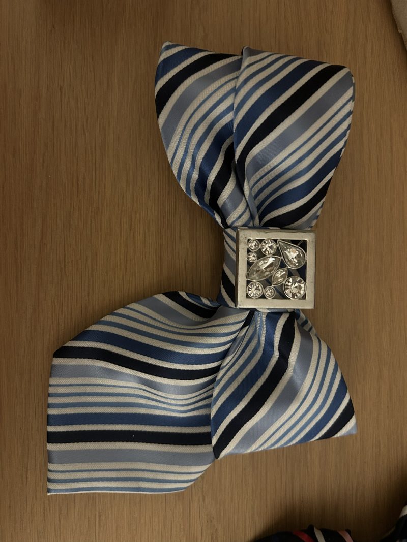 Elegant blue striped bow tie with a rhinestone accent.