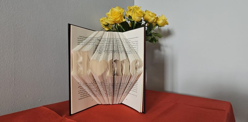 Folded Book Art. Home gift. Recycled Book Gift.