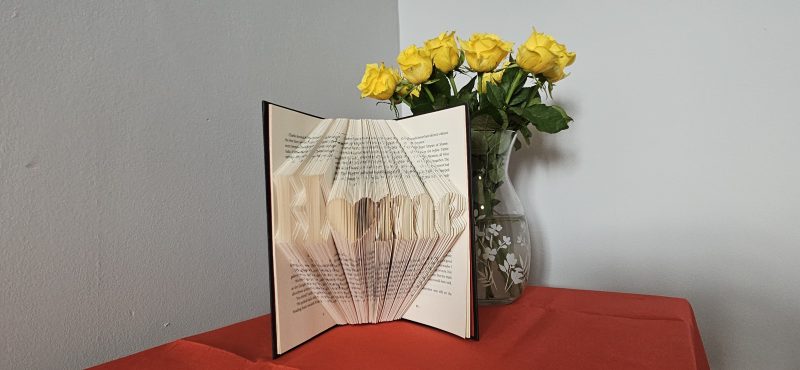 Folded Book Art. Home gift. Recycled Book Gift.