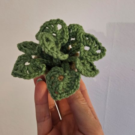 Handmade crochet monstera pot