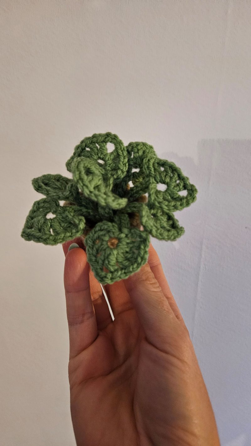 Handmade crochet monstera pot