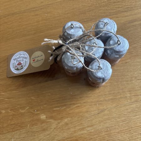 Cork mushroom decorations