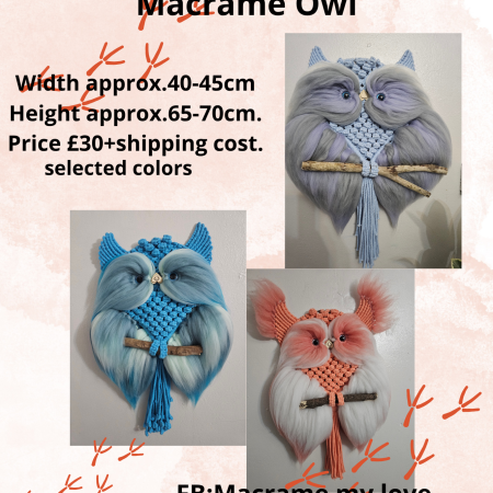 Macrame owl wall decor