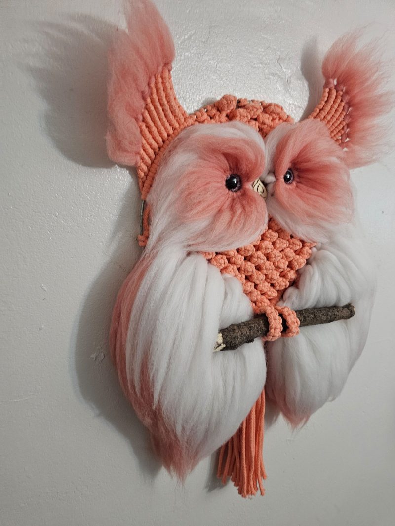 Macrame owl wall decor