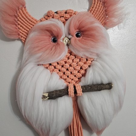 Macrame owl wall decor
