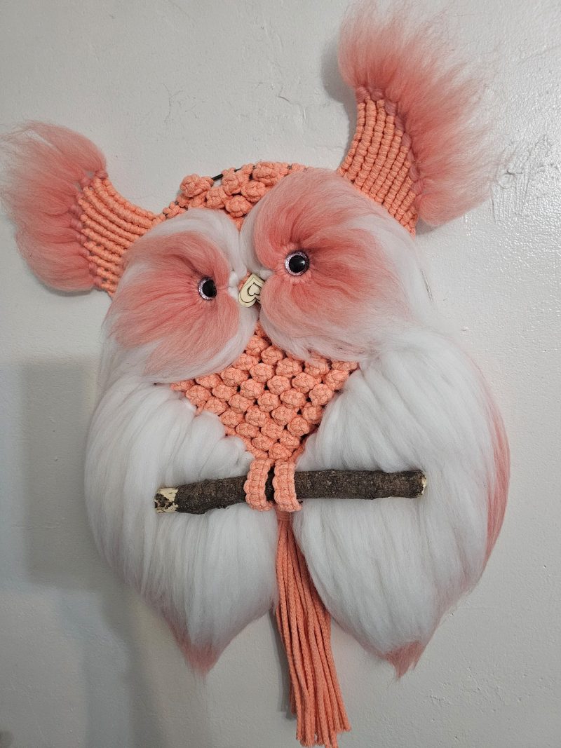 Macrame owl wall decor