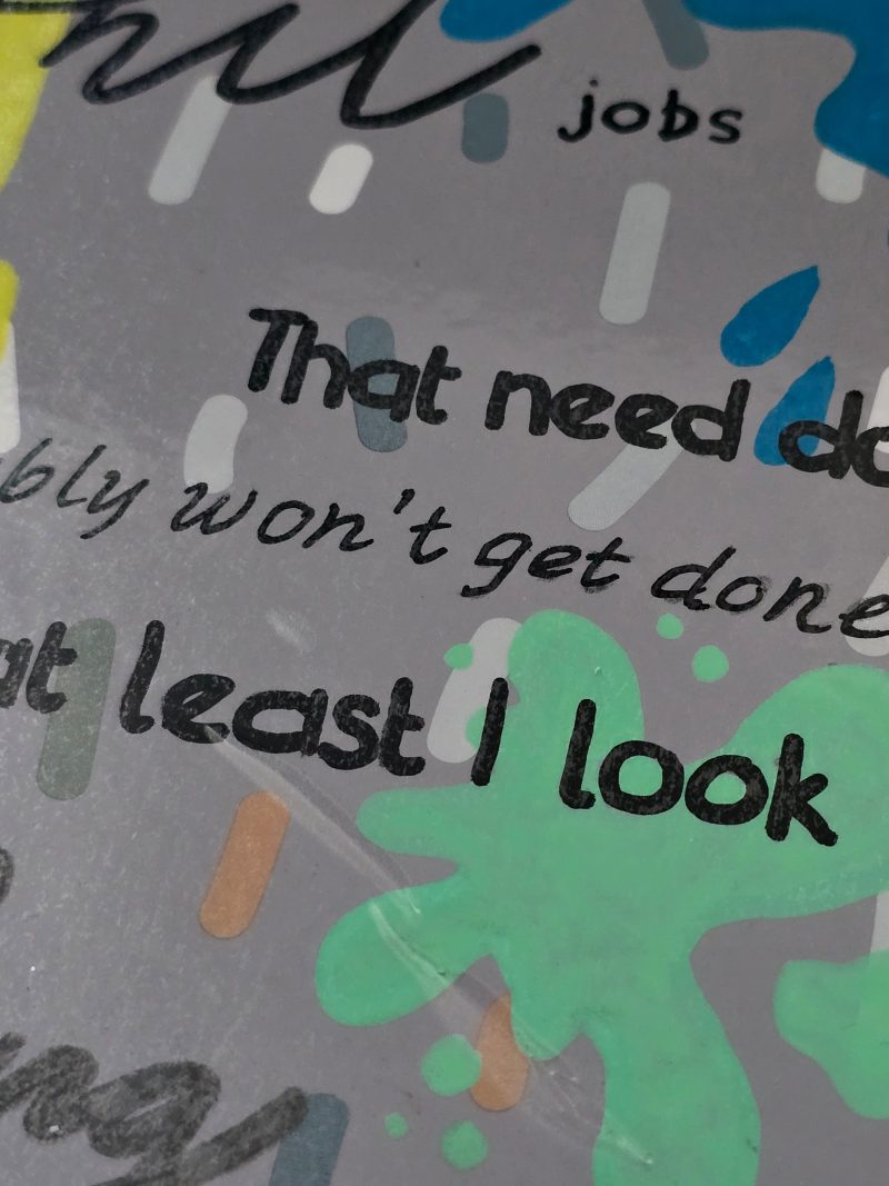 Funny Sarcastic Naughty Notebooks
