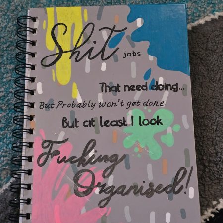 Funny Sarcastic Naughty Notebooks A5