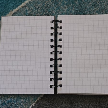Funny Sarcastic Naughty Notebooks A5