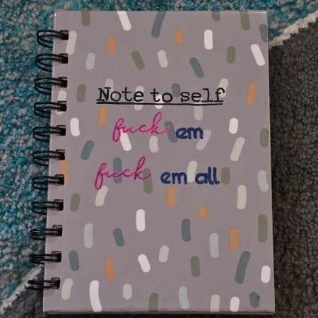 Funny Sarcastic Naughty Notebooks