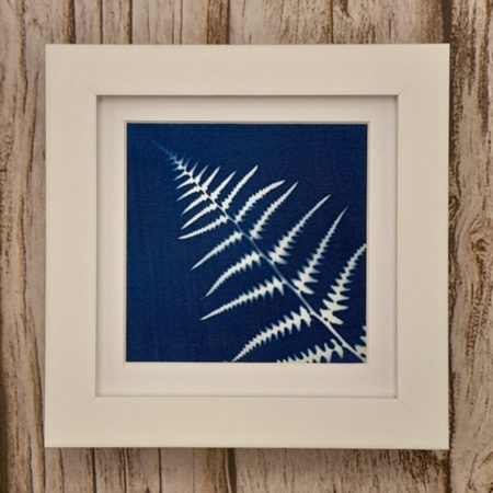 Fern Cyanotype in 10cm x 10cm frame