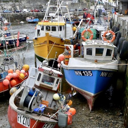 Mounted Photo - Mevagissey Harbour, Cornwall