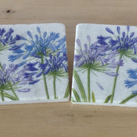 Marble Coasters - Agapanthus