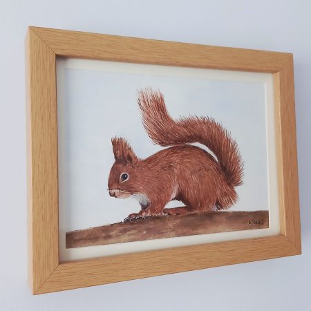Original Watercolour of a Red Squirrel in Pine Box Frame, 8x6"