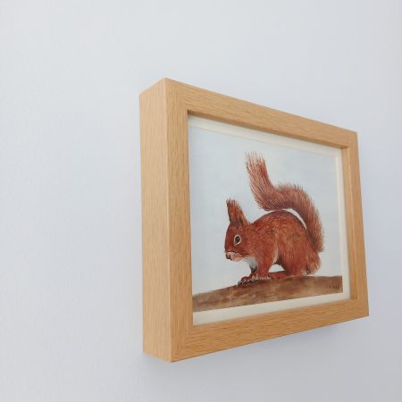 Original Watercolour of a Red Squirrel in Pine Box Frame, 8x6"