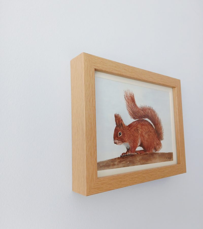 Original Watercolour of a Red Squirrel in Pine Box Frame, 8x6"