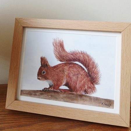 Original Watercolour of a Red Squirrel in Pine Box Frame, 8x6"